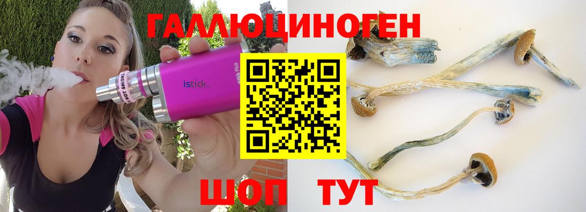 Псилоцибиновые грибы ЛСД  Вход с VPN  Алексин 